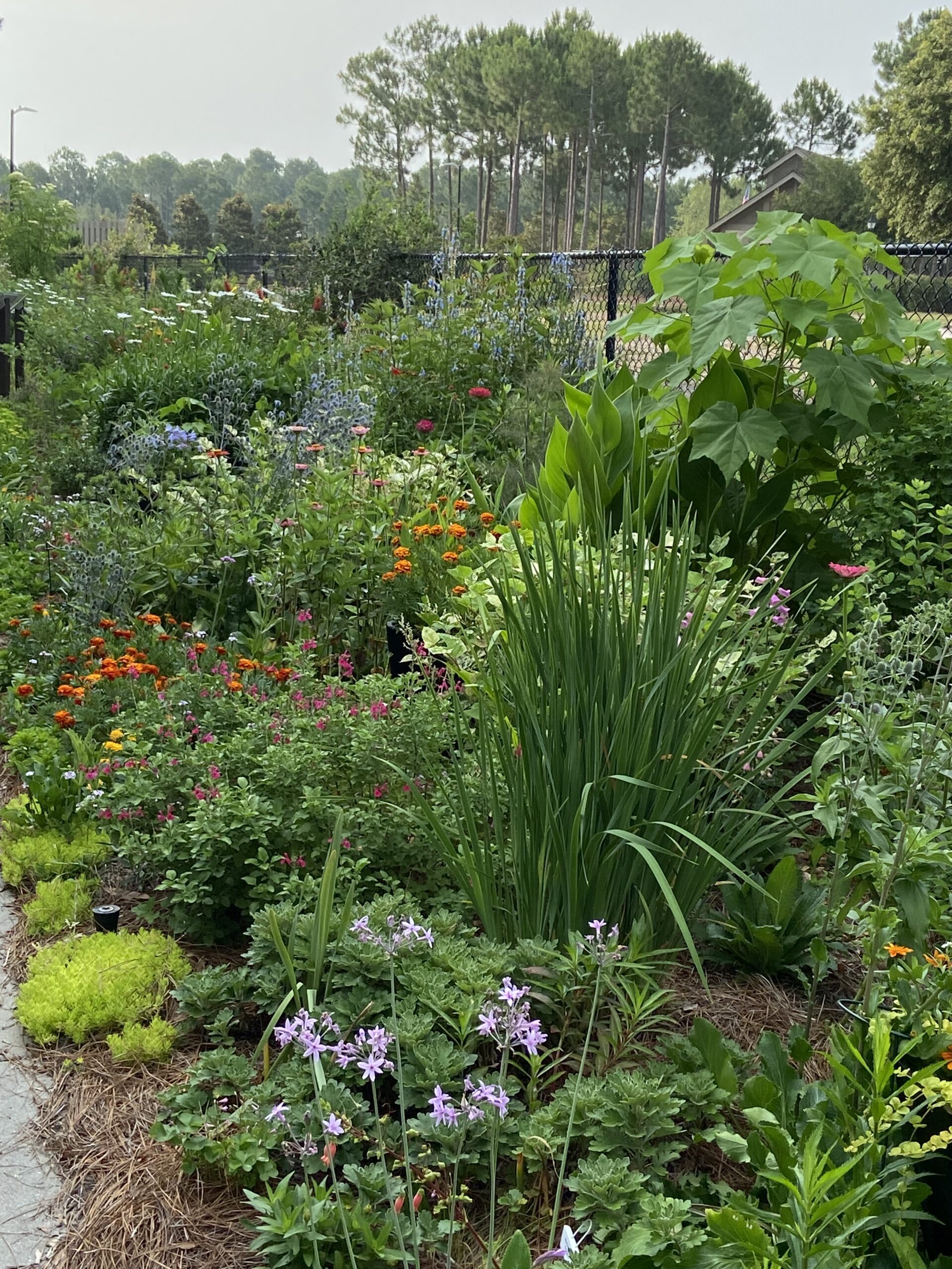 Gardens in St James Can Flourish - St James Plantation Real Estate